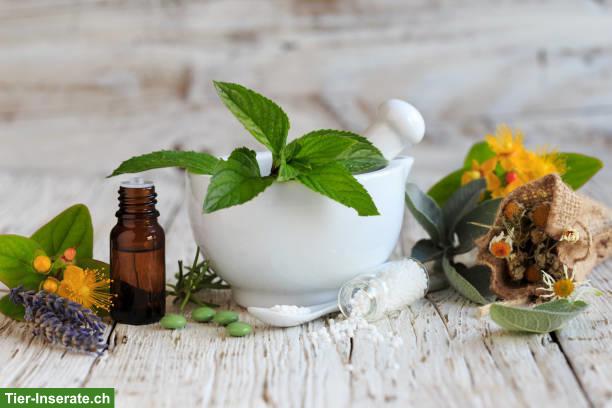 Bild 2: Tierheilpraxis und Mensch-Hundecoaching