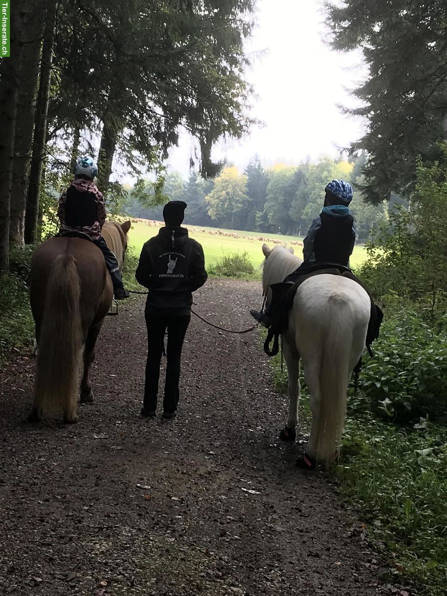 Tagesreitlager (ohne Übernachtung) mit Ponys & Tieren, 13.4.-15.4.