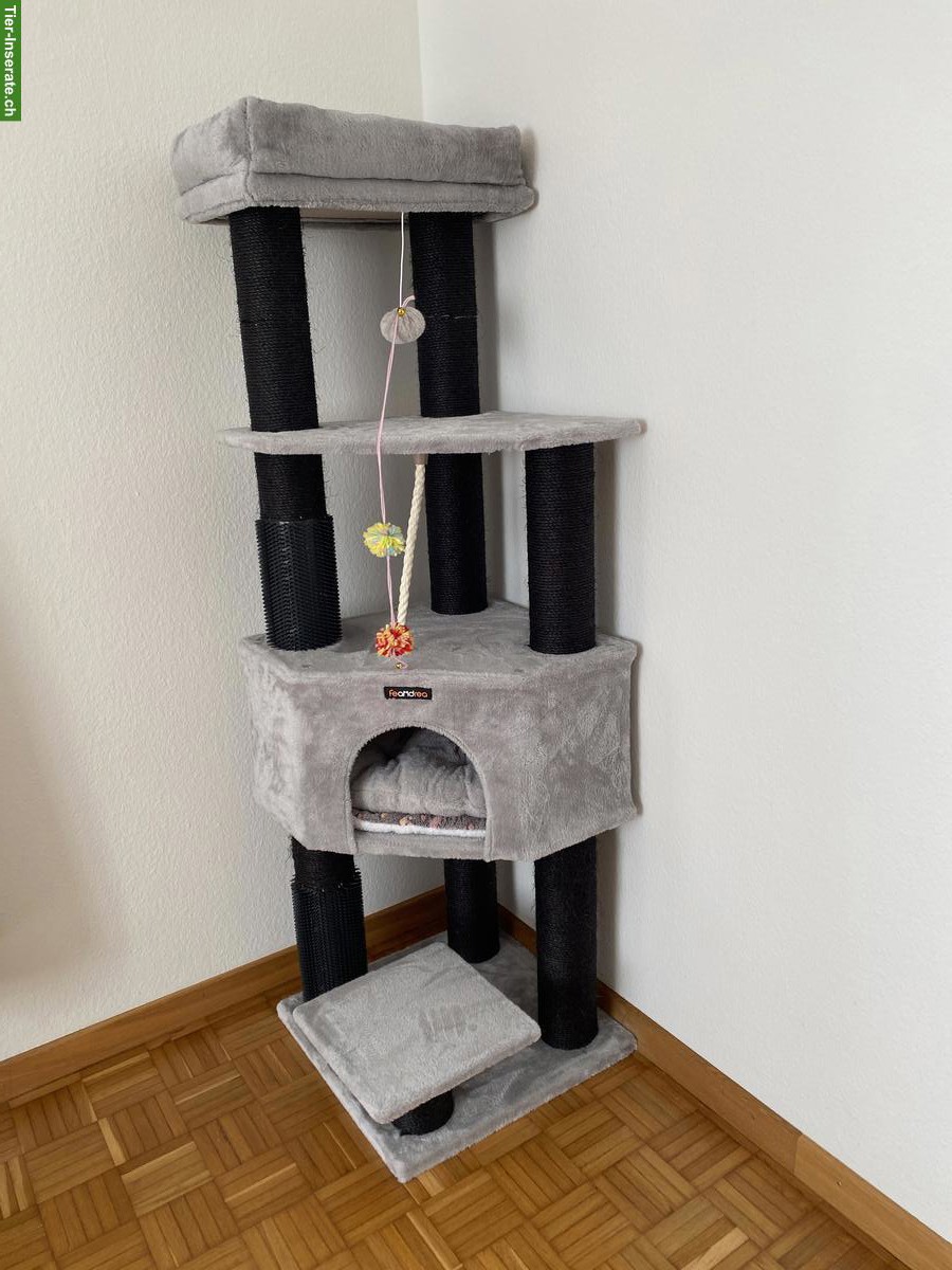 Kratzbaum zu verkaufen, 150cm, grau-schwarz