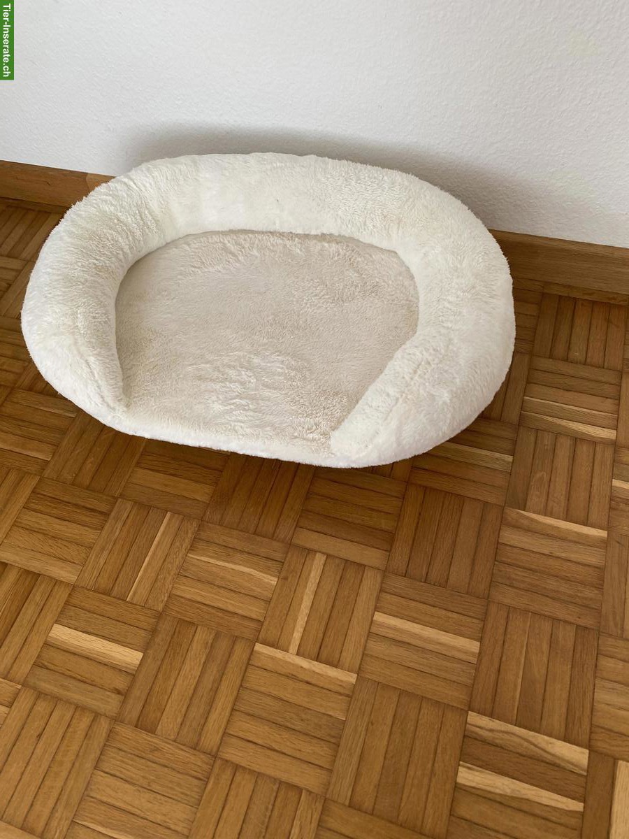 Katzenbett/Couch zu verkaufen