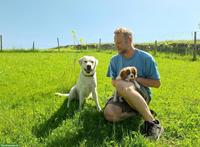 Hundebetreuung im Grünen, Küssnacht am Rigi