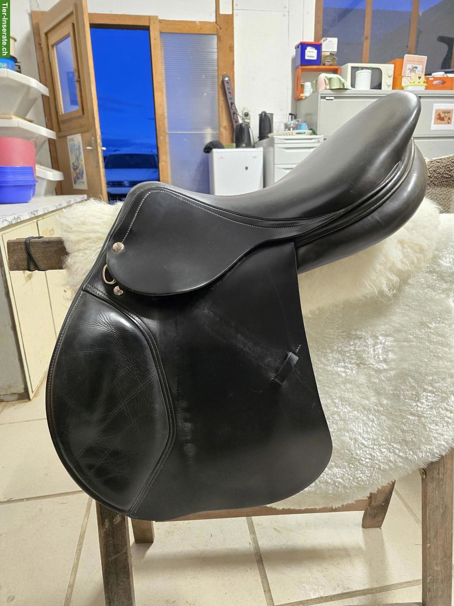 VSS Sattel Felix Bühler / La Belle zu verkaufen