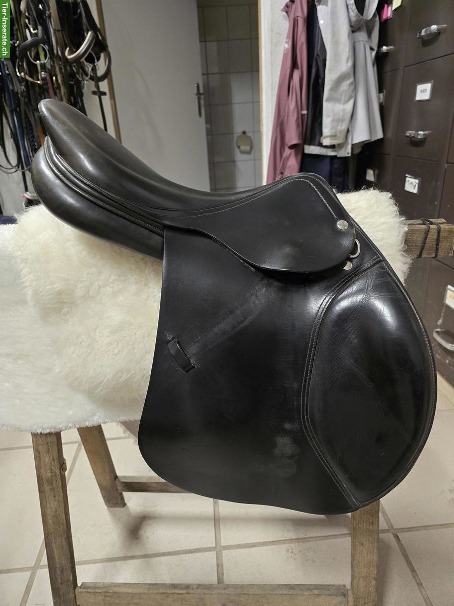 Bild 2: VSS Sattel Felix Bühler / La Belle zu verkaufen