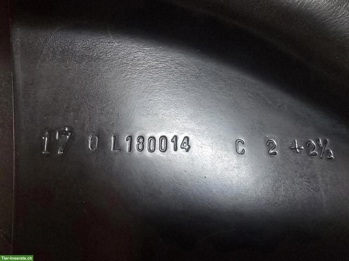 Bild 3: VSS Sattel Felix Bühler / La Belle zu verkaufen