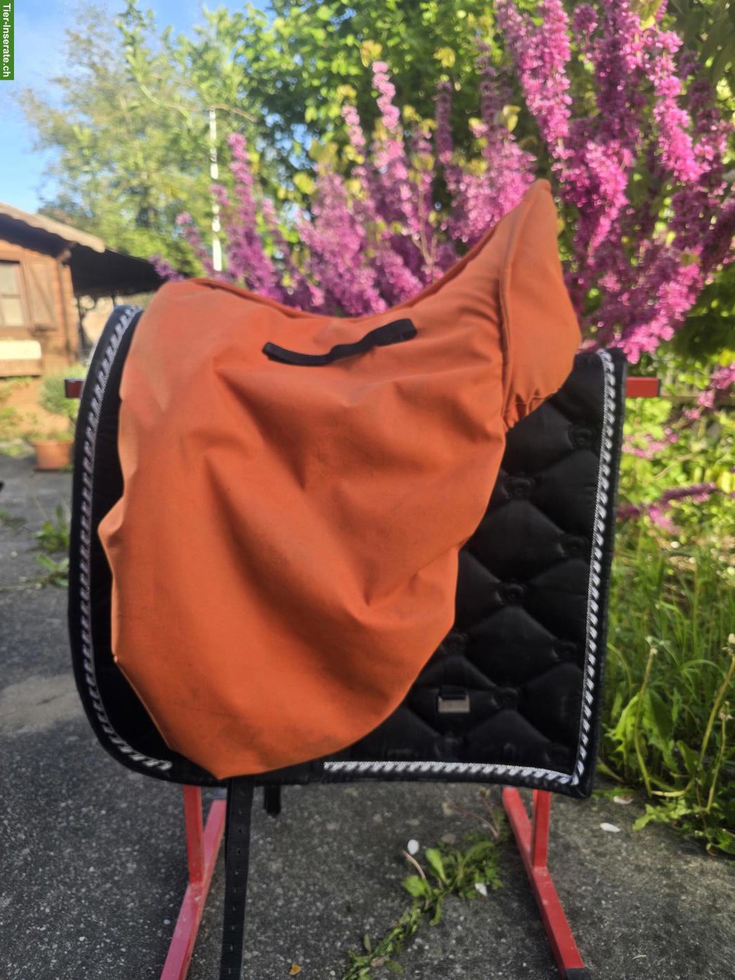 Bild 4: Dressursattel Fichtbauer Paura 17.5 Zoll zu verkaufen