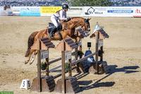 Suche Reitbeteiligung mit Springpferd, Region Kreuzlingen TG