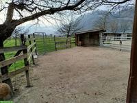 Offenstall für 4 Pferde in 8717 Benken SG zu vermieten