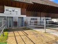 Grosse Auslaufboxen mit angrenzender Weide in Laufen BL