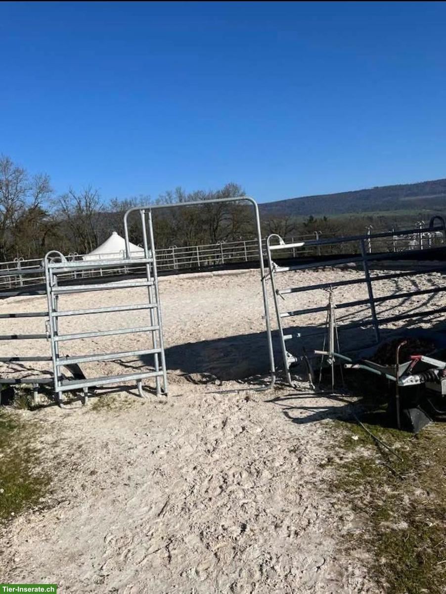 Bild 10: Grosse Auslaufboxen mit angrenzender Weide in Laufen BL