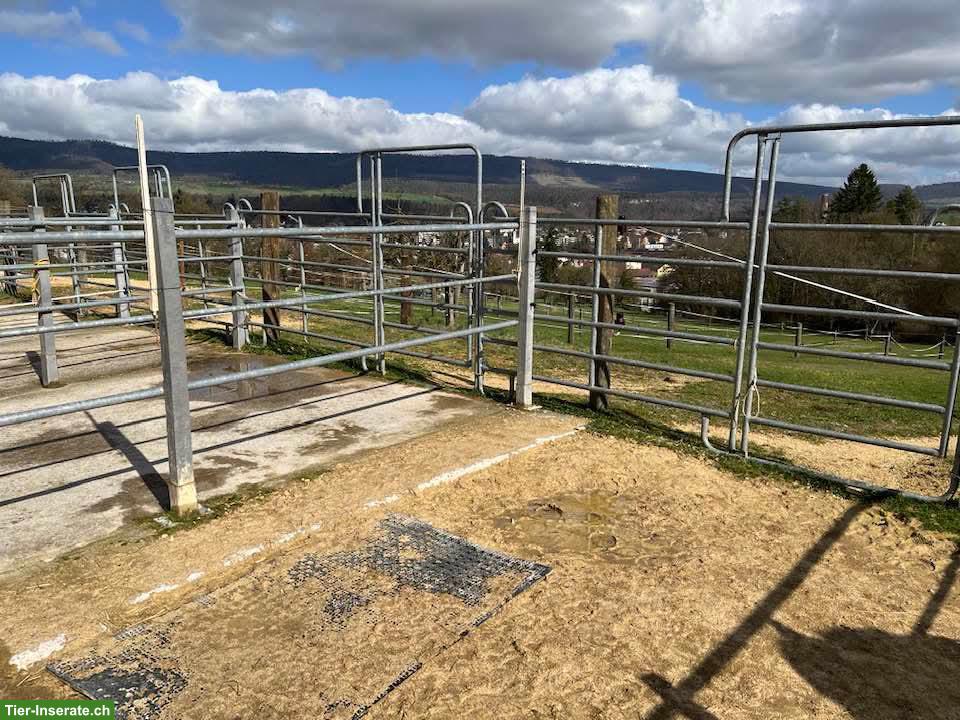 Bild 2: Grosse Auslaufboxen mit angrenzender Weide in Laufen BL