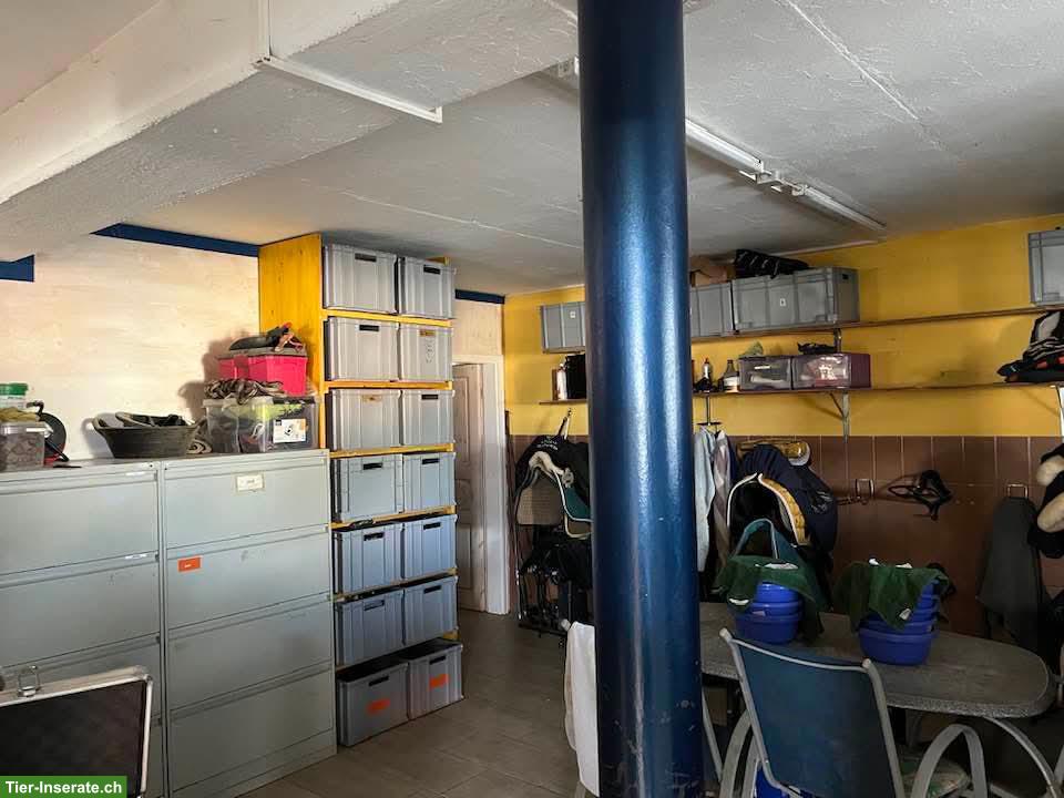 Bild 8: Grosse Auslaufboxen mit angrenzender Weide in Laufen BL