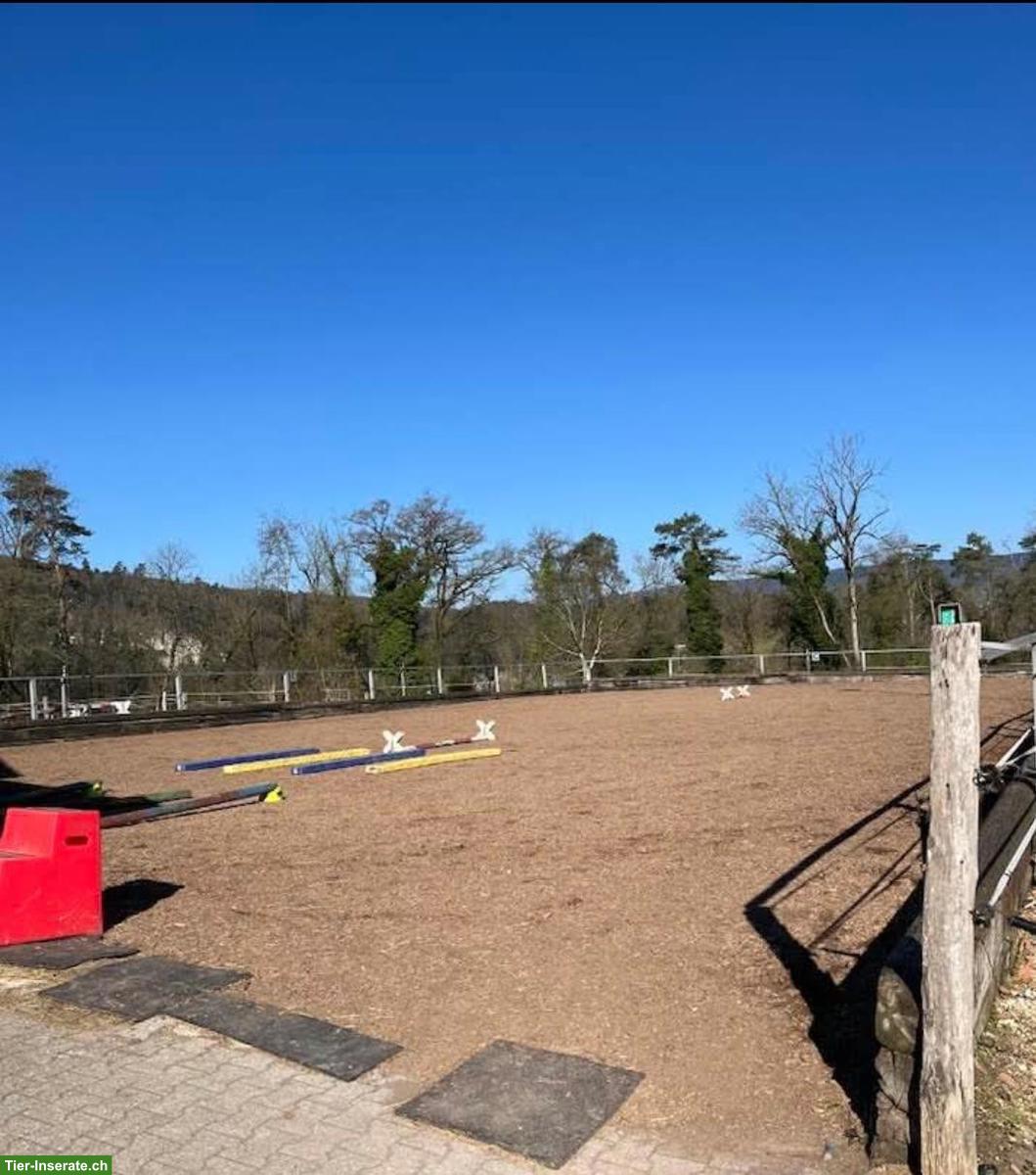 Bild 9: Grosse Auslaufboxen mit angrenzender Weide in Laufen BL
