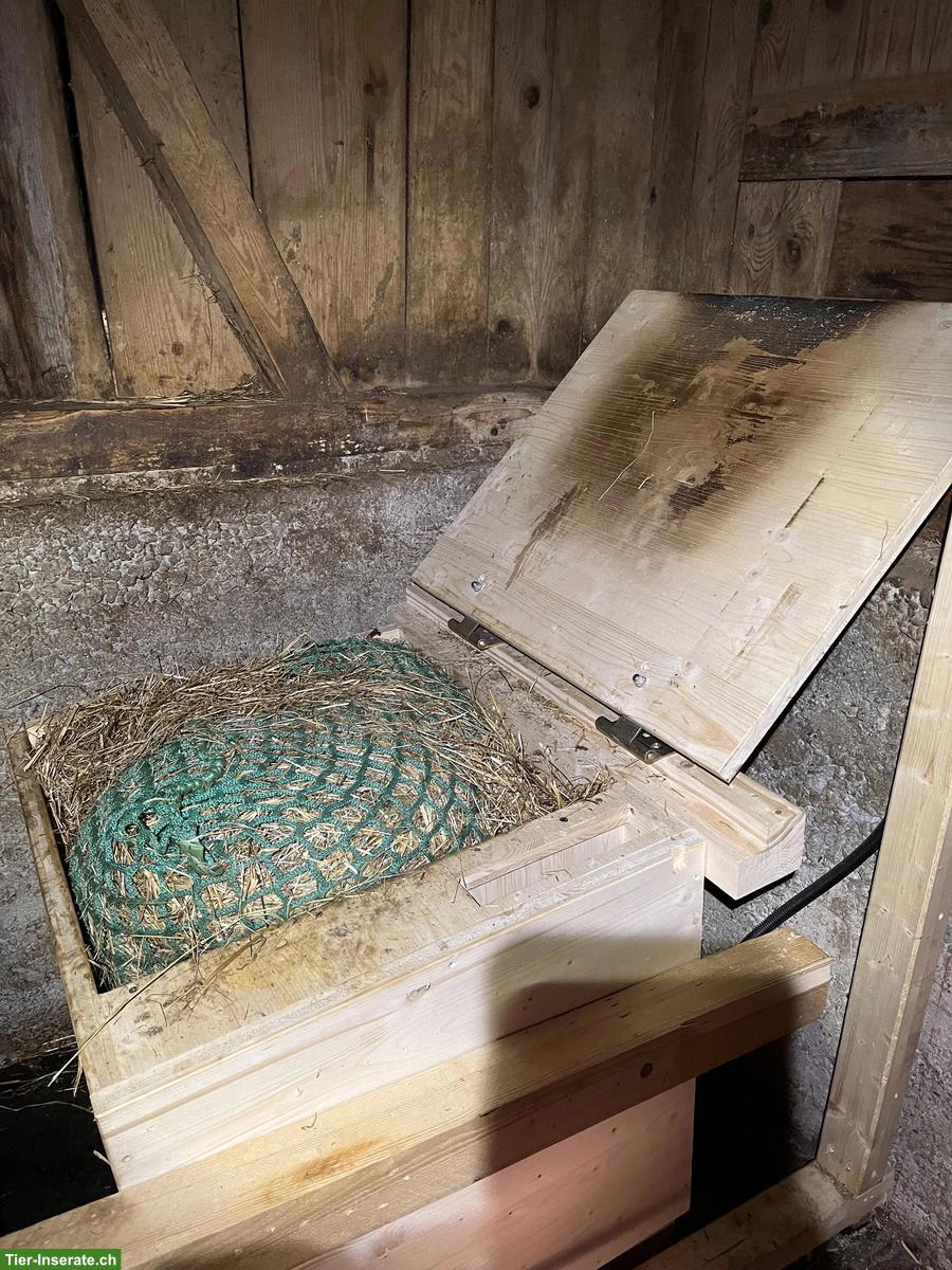 Bild 2: Zeitgesteuerte Heukiste zu verkaufen