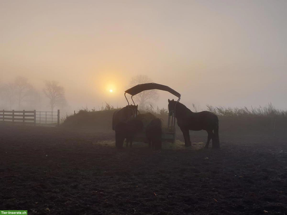 Charmanter Resthof mit 7.5ha arrondiertem Land in Schleswig-Holstein