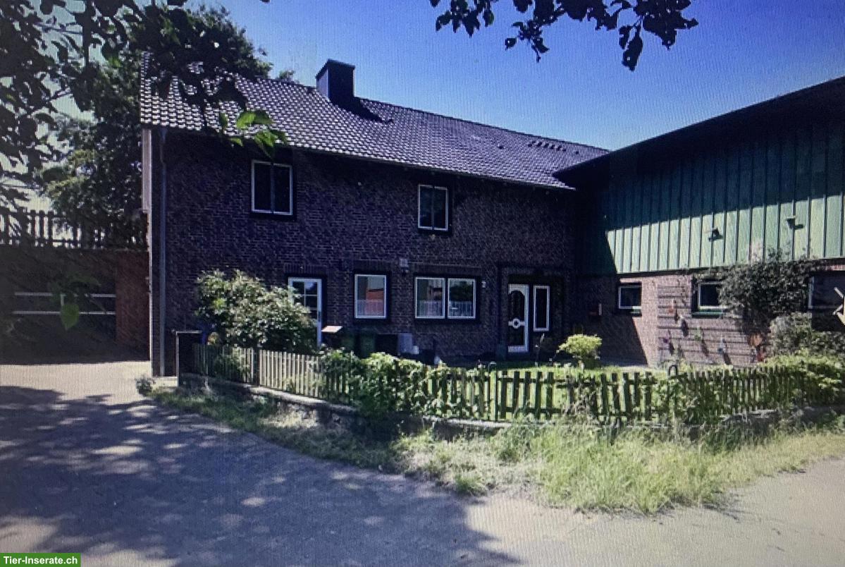 Bild 2: Charmanter Resthof mit 7.5ha arrondiertem Land in Schleswig-Holstein