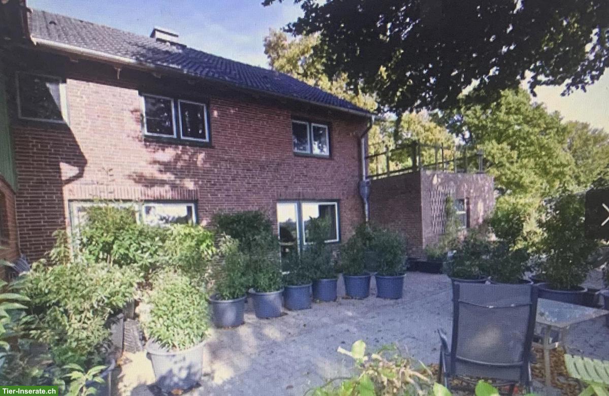 Bild 4: Charmanter Resthof mit 7.5ha arrondiertem Land in Schleswig-Holstein