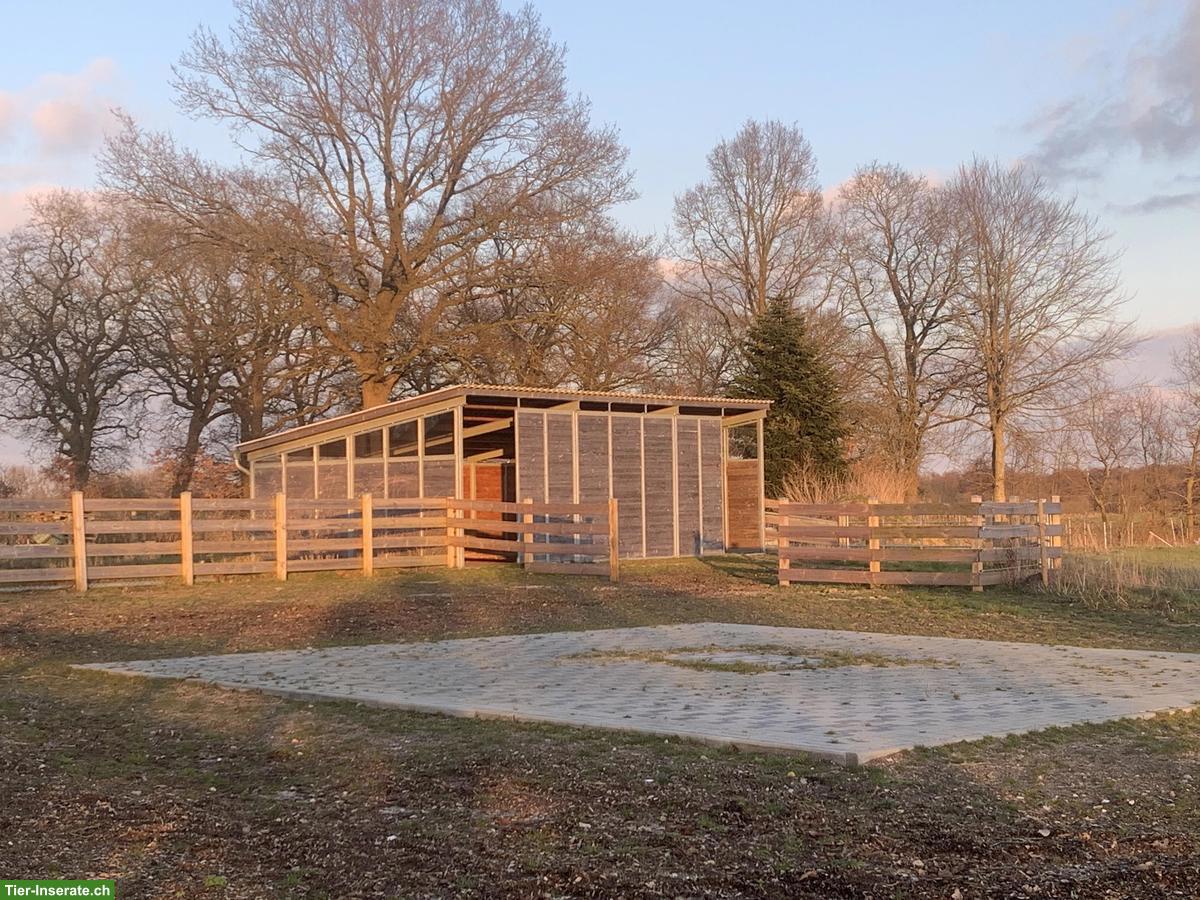 Bild 5: Charmanter Resthof mit 7.5ha arrondiertem Land in Schleswig-Holstein