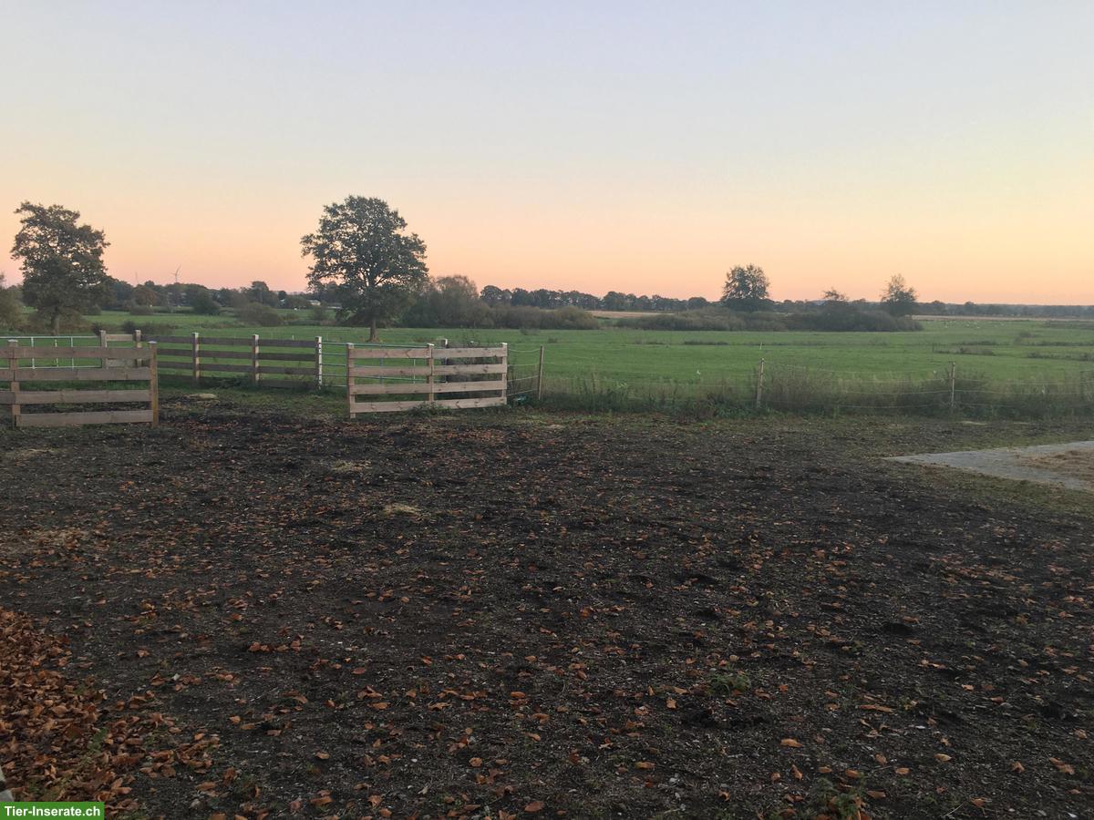 Bild 6: Charmanter Resthof mit 7.5ha arrondiertem Land in Schleswig-Holstein