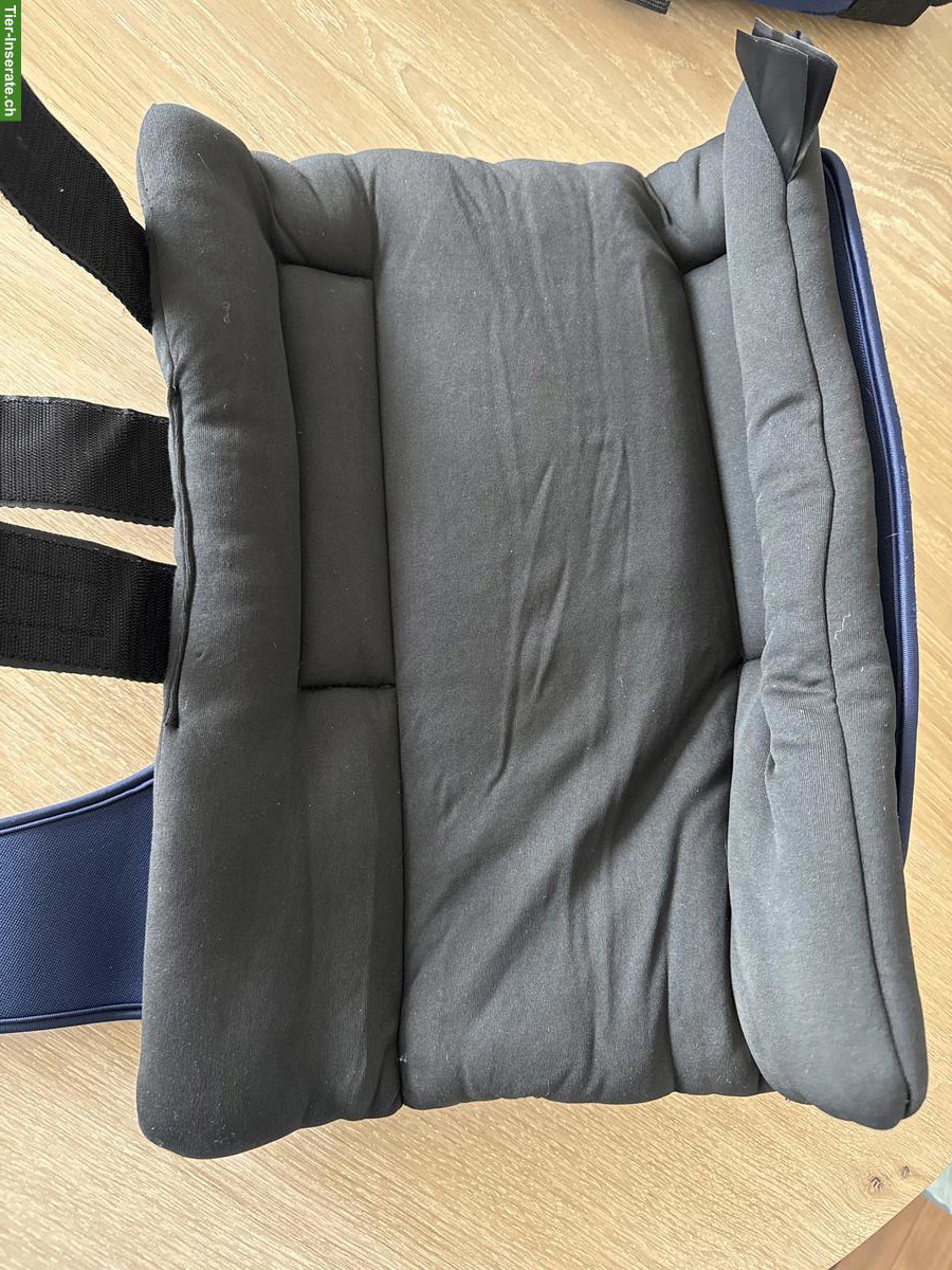 Bild 3: Back on Track Stall-Gamaschen Gr. L zu verkaufen