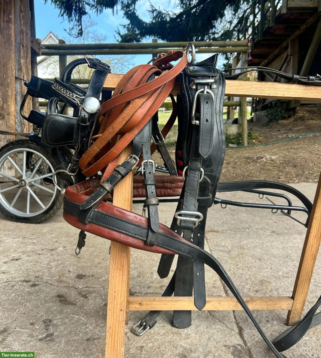 Bild 3: Sulky / Einspänner Ponywägeli, gebraucht