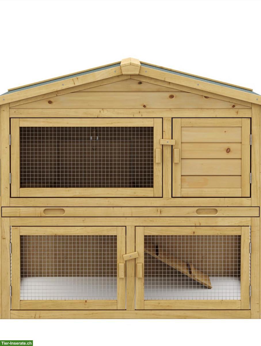 Bild 3: Farbenzwerge Zwergkaninchen inkl. Stall & Zubehör