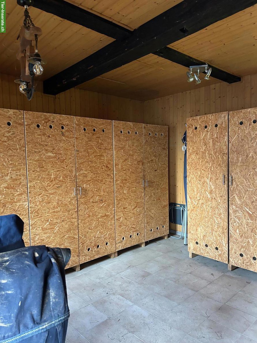 Bild 4: Offenstallplatz für 1-2 Ponys (bis ca. 1.35 m), Kastanienbaum LU