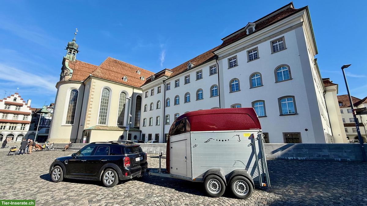 Böckmann 2er Pferdetransportanhänger Champion R zu verkaufen