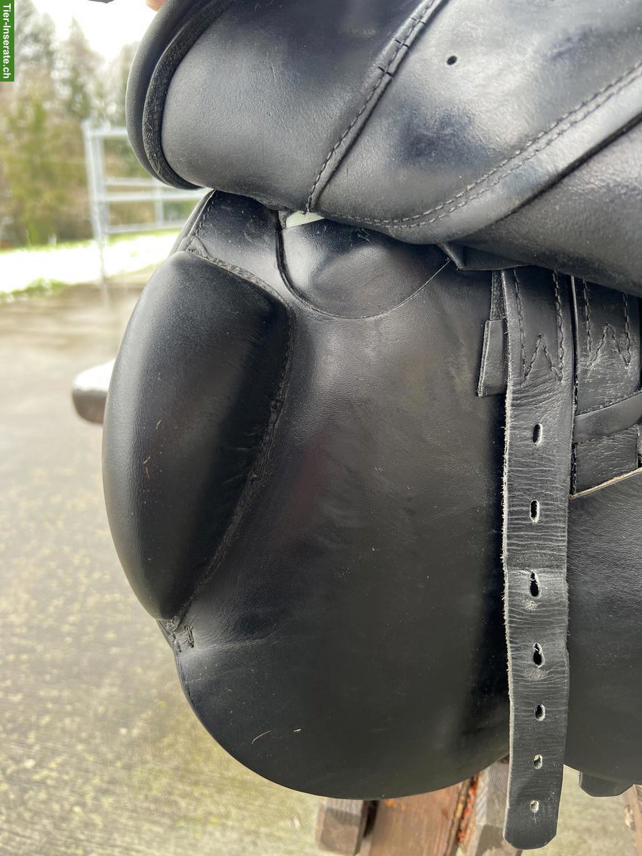 Bild 2: Prestige Springsattel Euroriding Roberto 17 Zoll