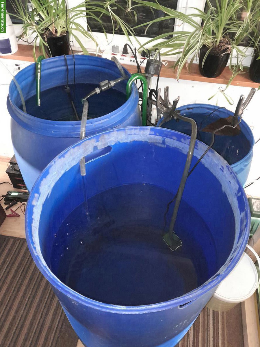 Bild 4: Probleme mit ihrem Aquarium?