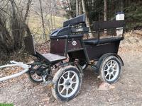 Gepflegte Kühnle Kutsche, Einspänner