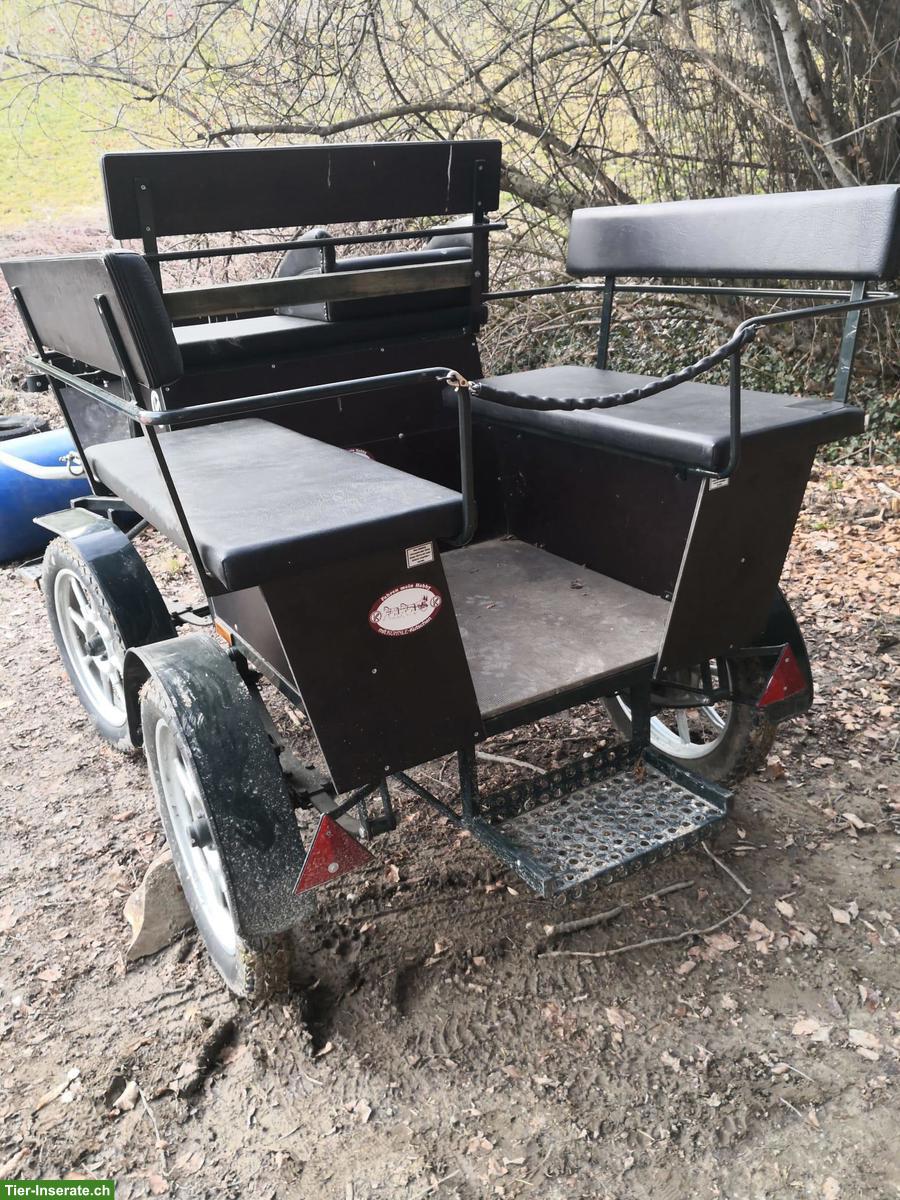 Bild 3: Gepflegte Kühnle Kutsche, Einspänner