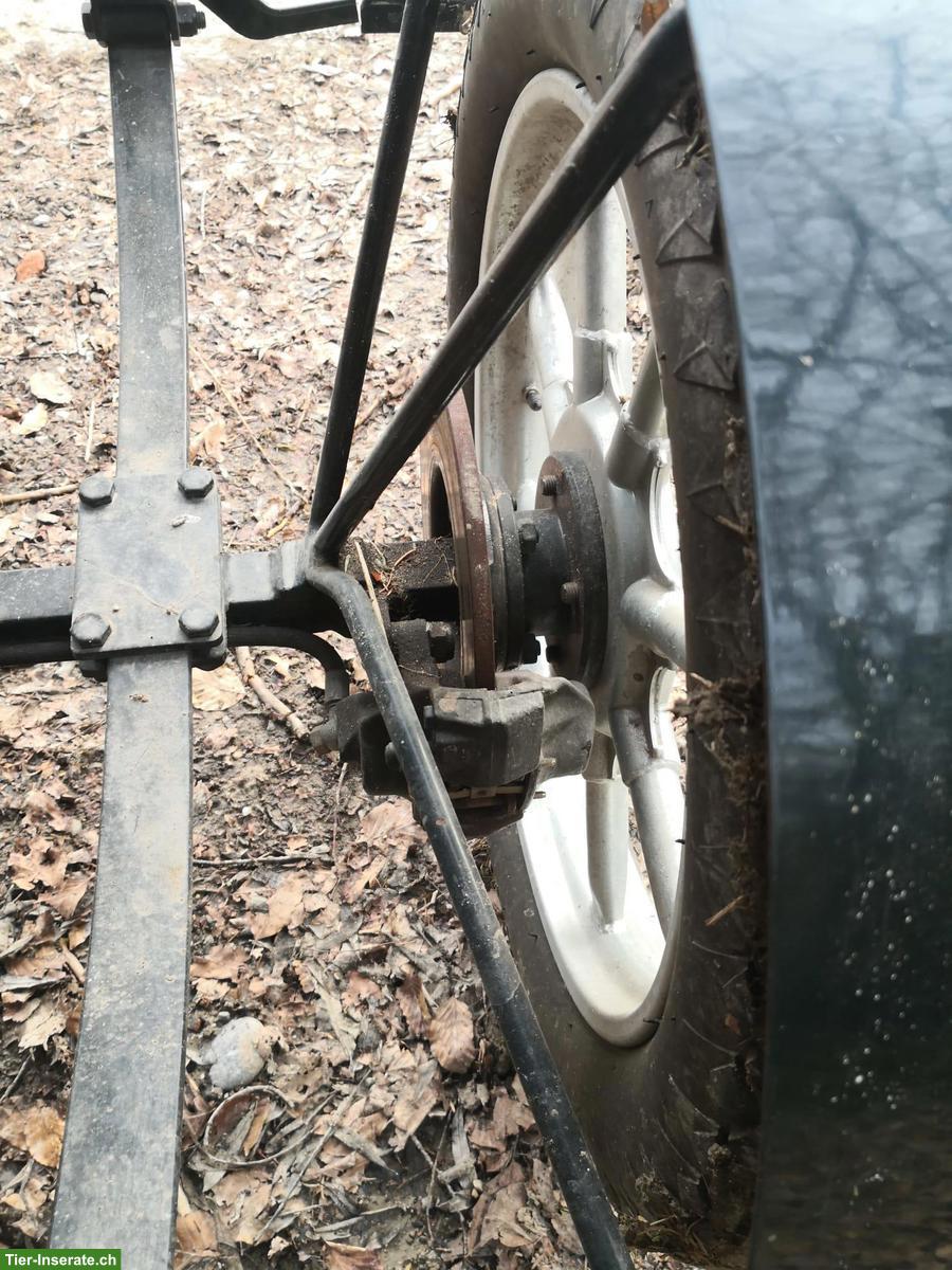 Bild 6: Gepflegte Kühnle Kutsche, Einspänner