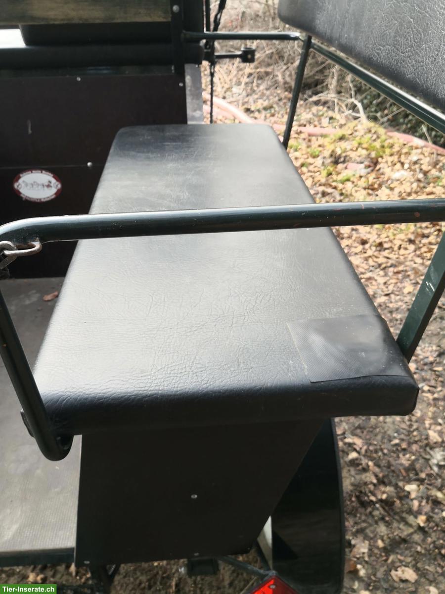 Bild 7: Gepflegte Kühnle Kutsche, Einspänner