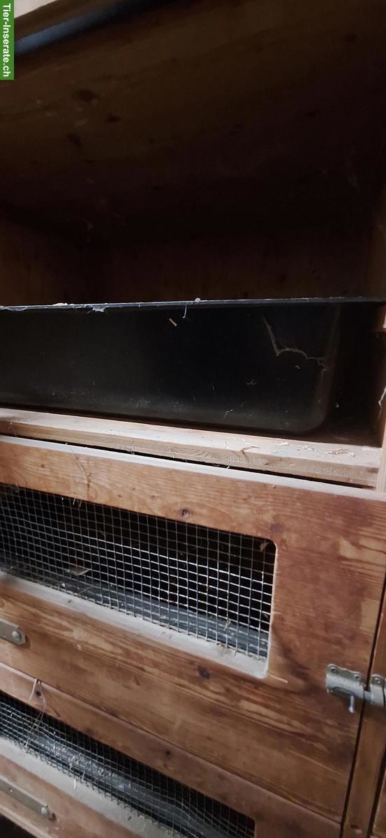 Bild 4: Meerschweinchen-/Zwergkaninchenstall, grosse Doppelboxen auf Rädern