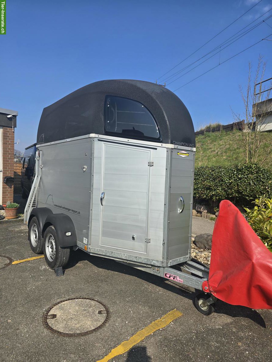Böckmann Pferdeanhänger Champion UNO 1.5er