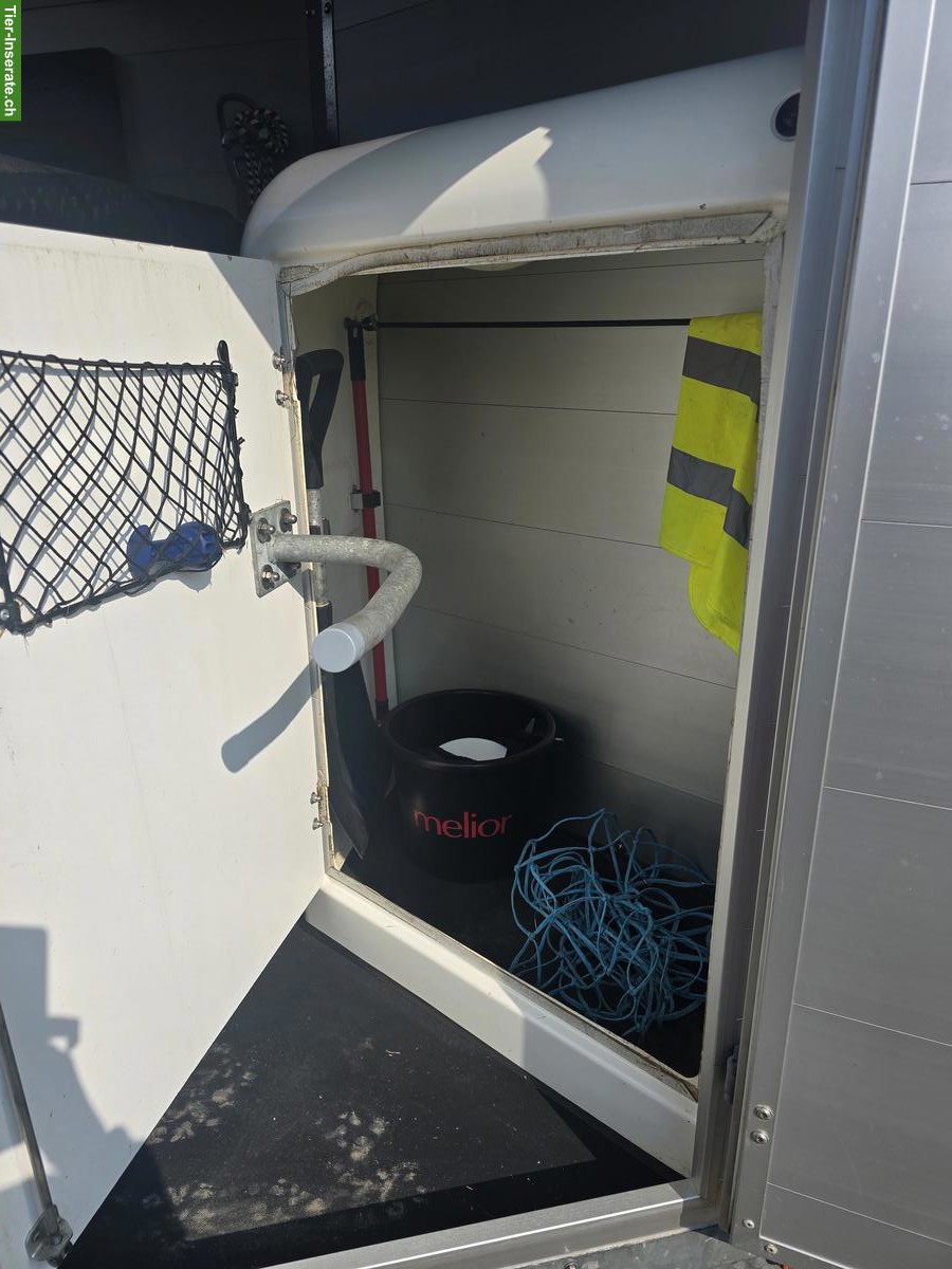 Bild 3: Böckmann Pferdeanhänger Champion UNO 1.5er