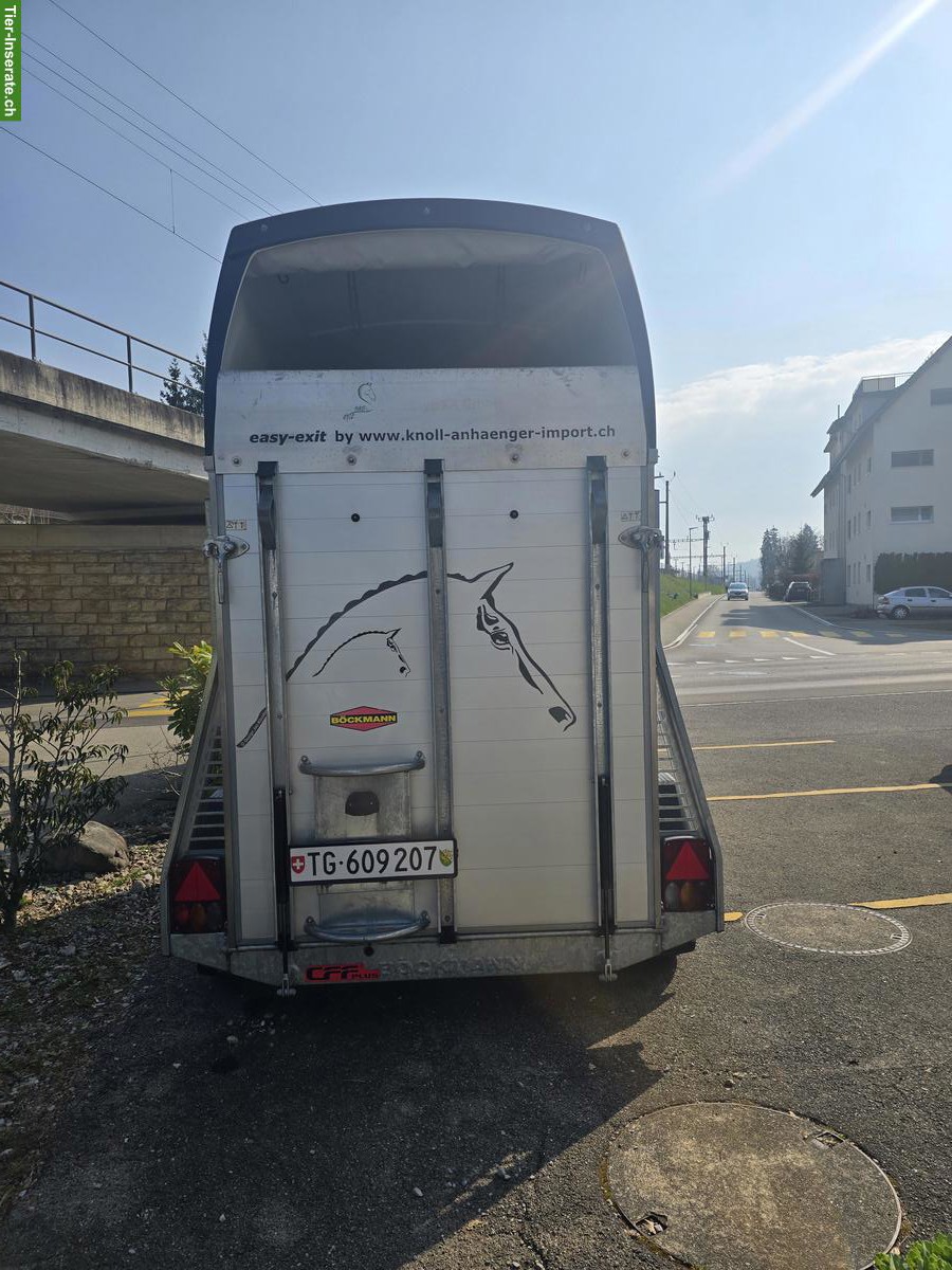 Bild 5: Böckmann Pferdeanhänger Champion UNO 1.5er