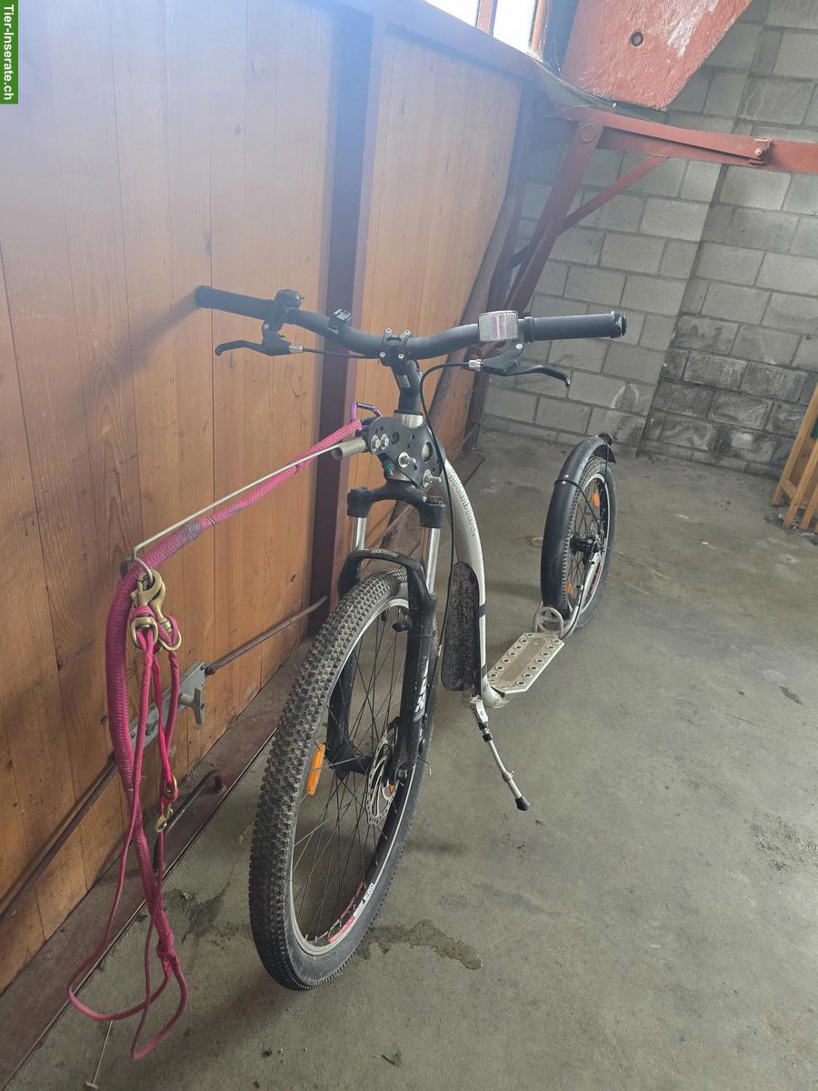 Kickbike Cross Max Dogscooter für Zughundesport