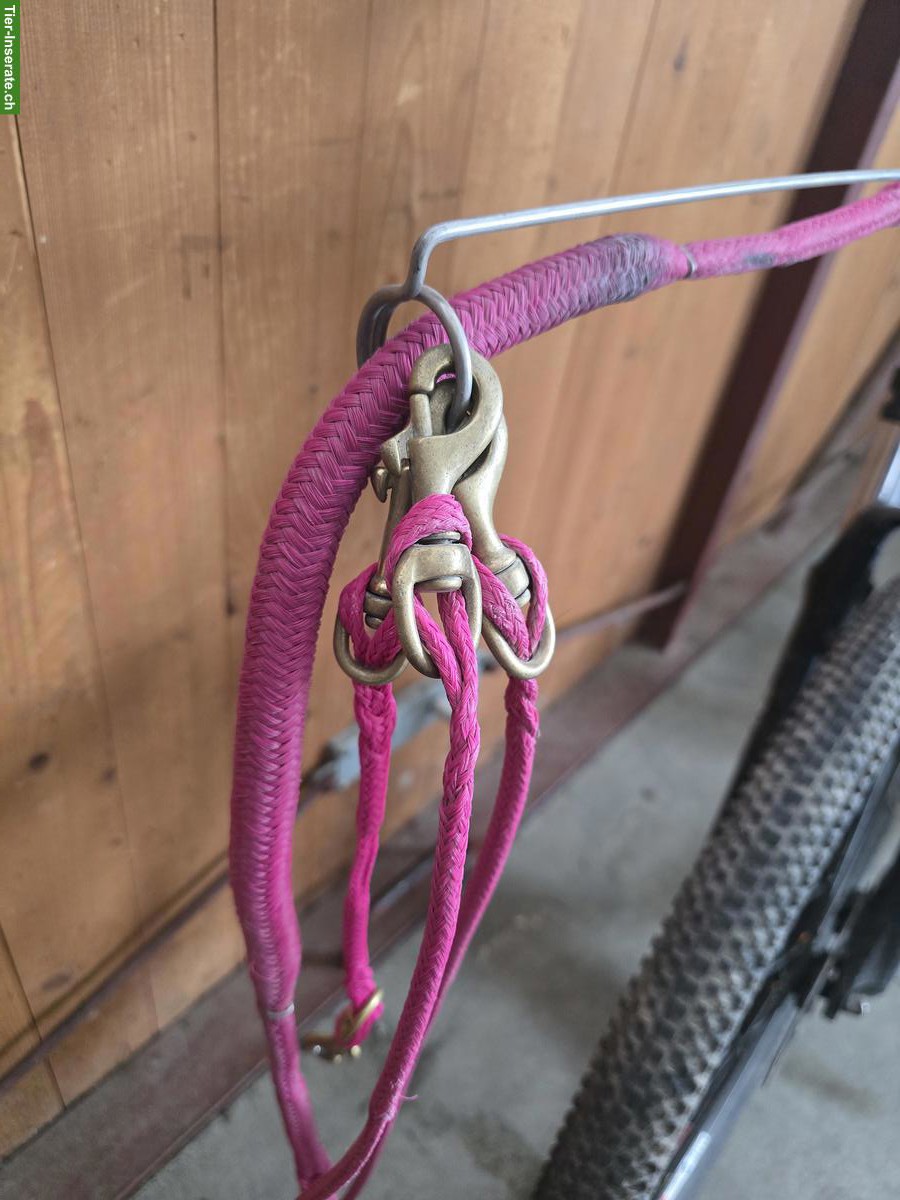 Bild 2: Kickbike Cross Max Dogscooter für Zughundesport