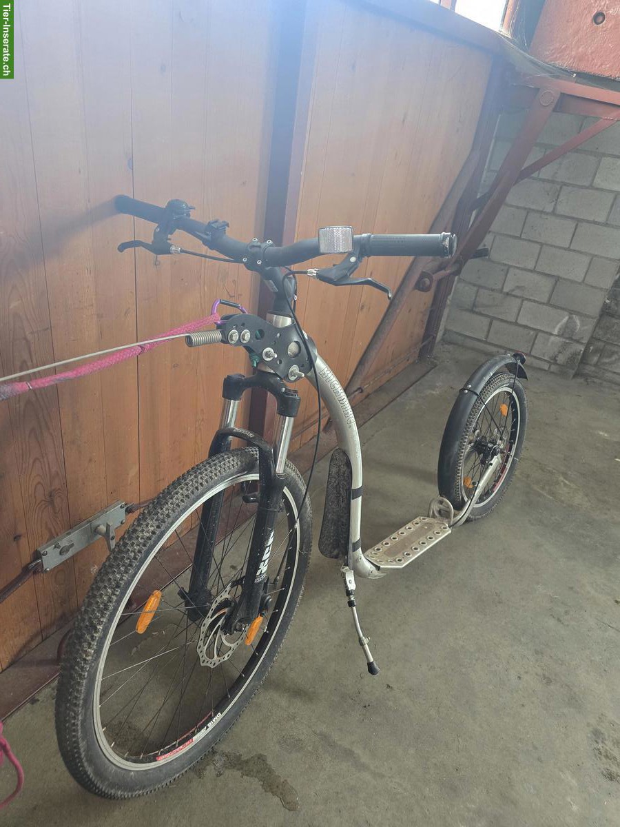 Bild 3: Kickbike Cross Max Dogscooter für Zughundesport