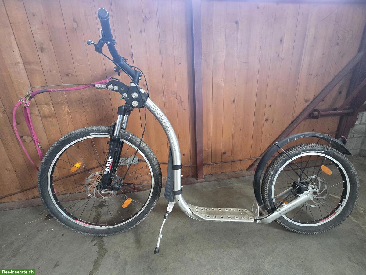 Bild 4: Kickbike Cross Max Dogscooter für Zughundesport