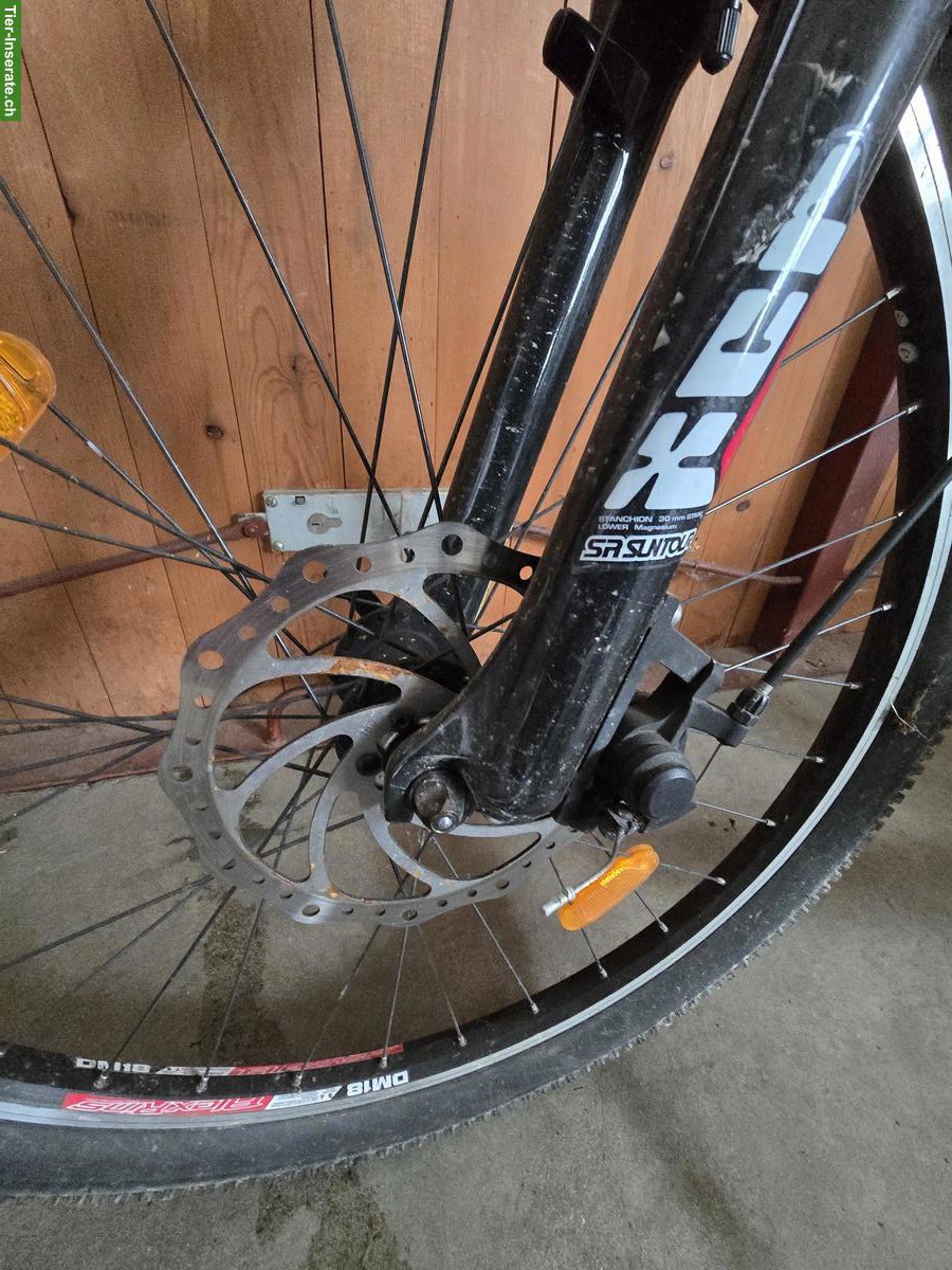 Bild 6: Kickbike Cross Max Dogscooter für Zughundesport