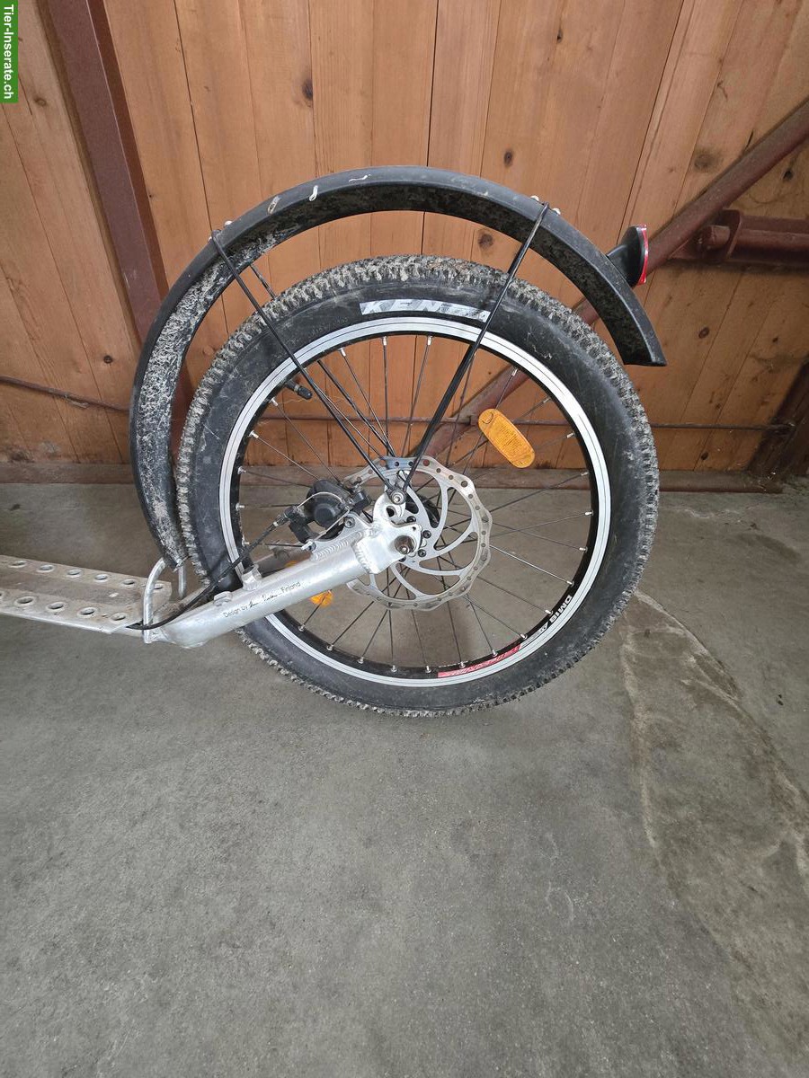 Bild 7: Kickbike Cross Max Dogscooter für Zughundesport