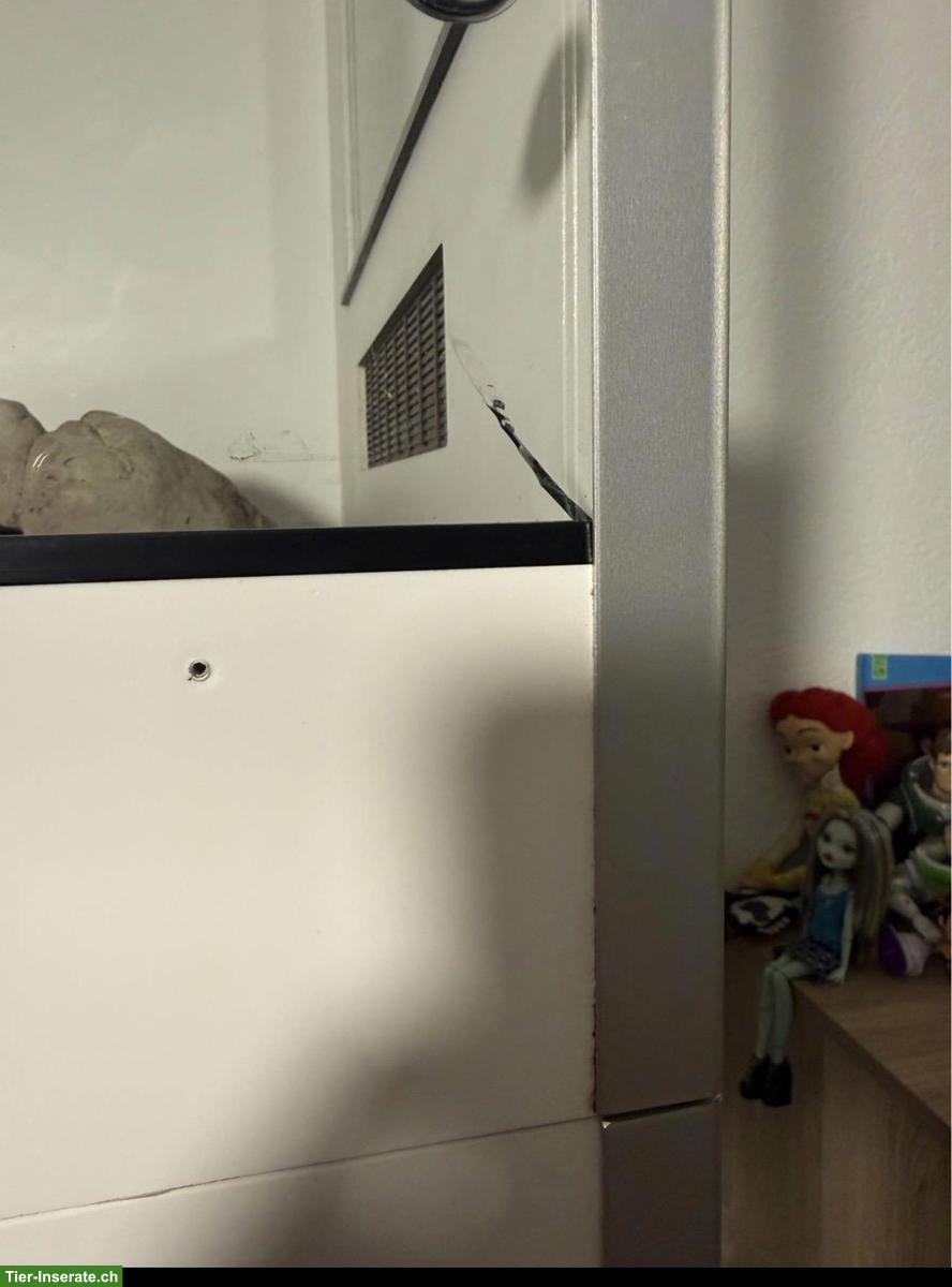 Bild 3: Terrarium Schlangenzoo Eschlikon | 150×60×80cm