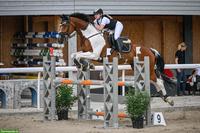 Suche erfahrene Reitbeteiligung in Frauenfeld TG