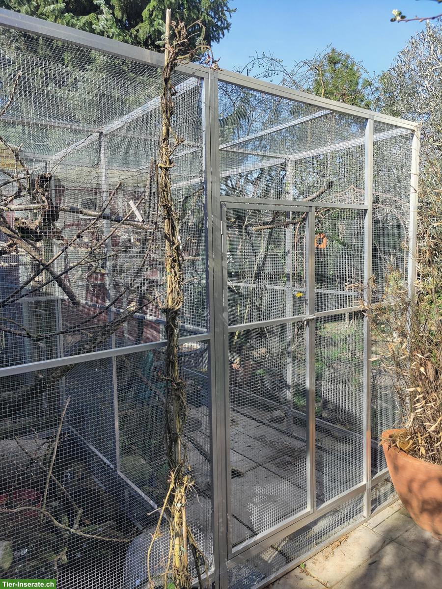 Bild 6: Agapornis, Bourkesittiche, Schwarzkopfedelsittiche, Zebrafinken