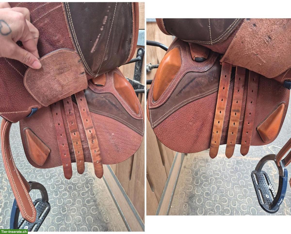 Bild 4: Ikonic Springsattel Evolution Line zu verkaufen