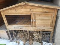 Kaninchenstall gratis abzugeben