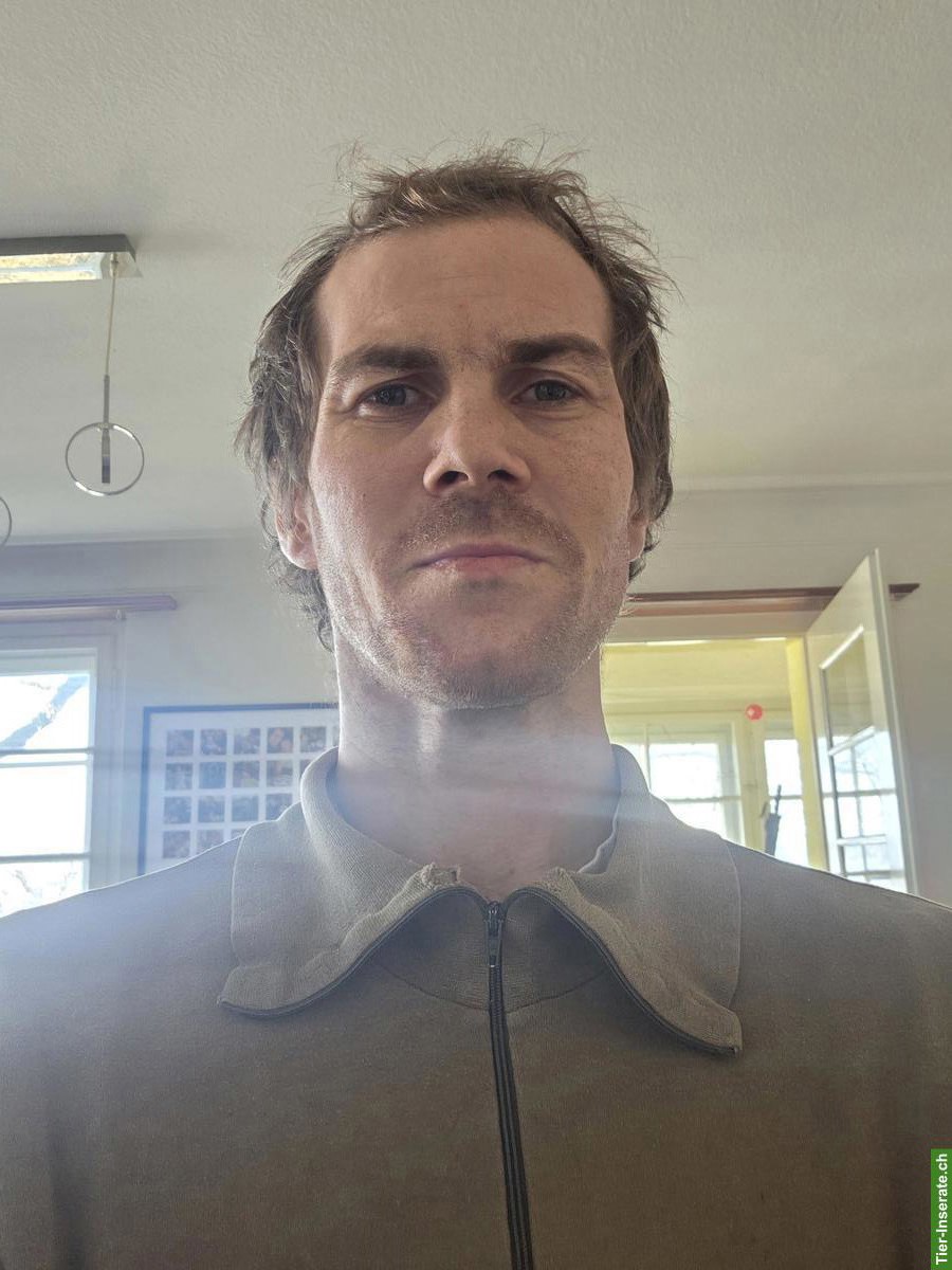 Bild 2: Arbeitsstelle gesucht mit Tieren, Landwirtschaft etc.