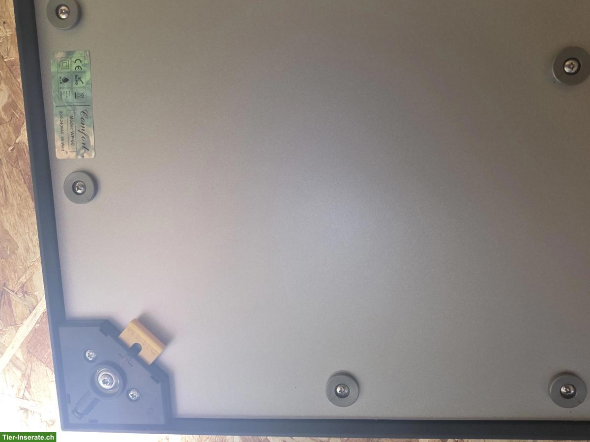 Bild 6: Weibliche Kornnatter mit Terrarium-Komplettset